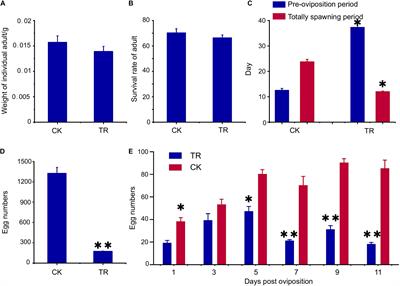 Comparative Transcriptomic Analyses of Antibiotic-Treated and Normally Reared Bactrocera dorsalis Reveals a Possible Gut Self-Immunity Mechanism